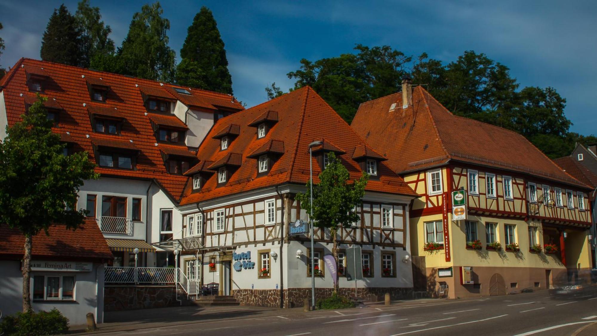 Hotel Baer Sinsheim Bagian luar foto